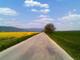 Foto : Grain