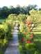 Foto : Garden