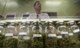 Foto :The state already licenses more than 500 medical marijuana dispensaries, and only those outlets may apply to sell it for recreational use. Photo: David Mcnew /Getty