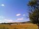 Foto :Harvest in Slovakia